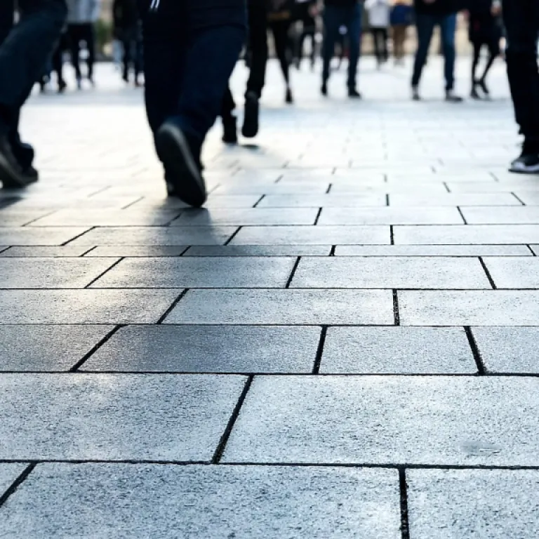 Wie der vertretungsplan an der oberschule trebsen den Büroalltag beeinflusst